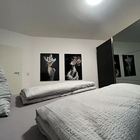 Zimmermann Apartment